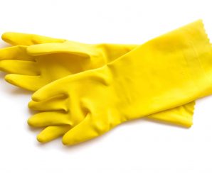 Gloves